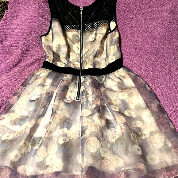 Sheer floral dress with petticoat under.. netting sleeves and collar.. zip up - Picture 3 of 3